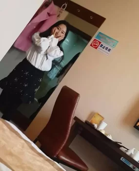      双飞记  